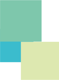 Asset 8@20x Asset 8@20x